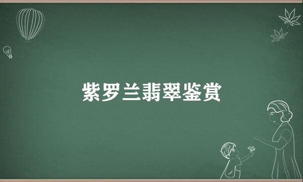 紫罗兰翡翠鉴赏
