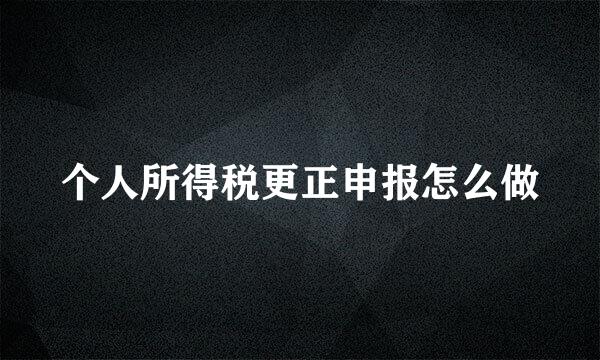 个人所得税更正申报怎么做
