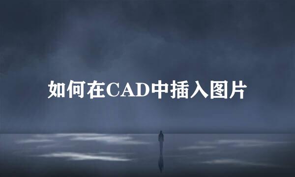 如何在CAD中插入图片
