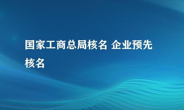 国家工商总局核名 企业预先核名