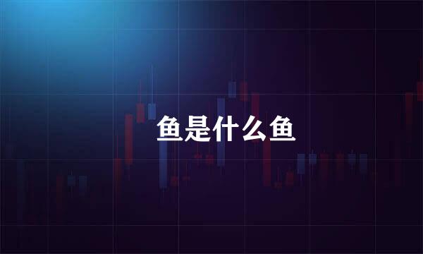 鮰鱼是什么鱼