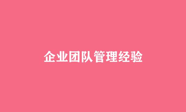 企业团队管理经验
