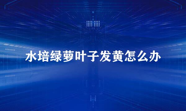 水培绿萝叶子发黄怎么办