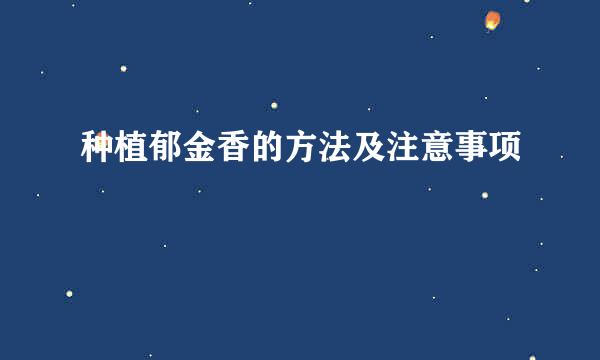 种植郁金香的方法及注意事项