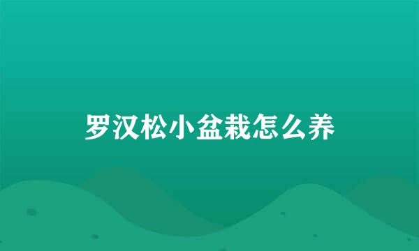 罗汉松小盆栽怎么养