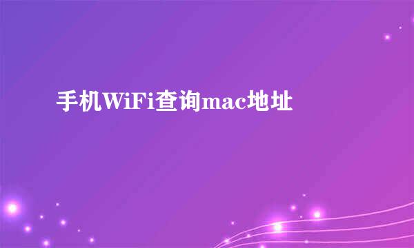 手机WiFi查询mac地址