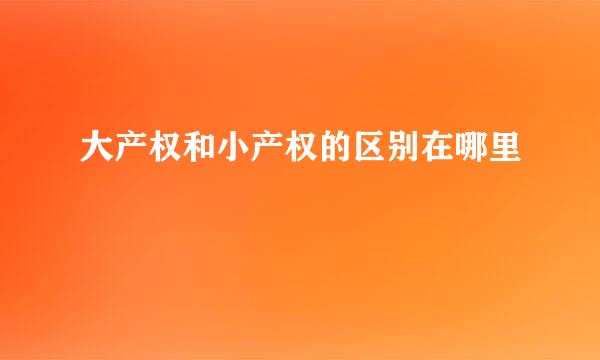 大产权和小产权的区别在哪里