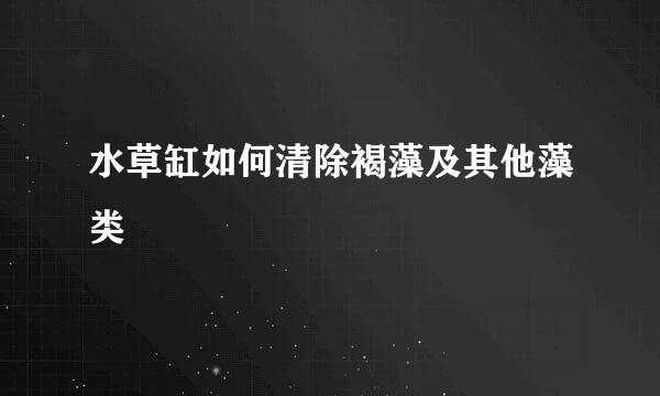 水草缸如何清除褐藻及其他藻类
