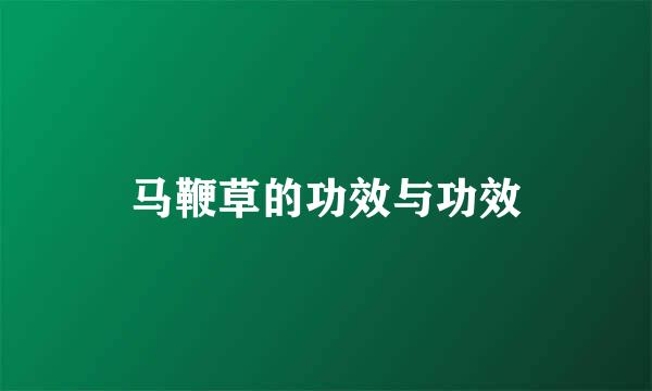 马鞭草的功效与功效