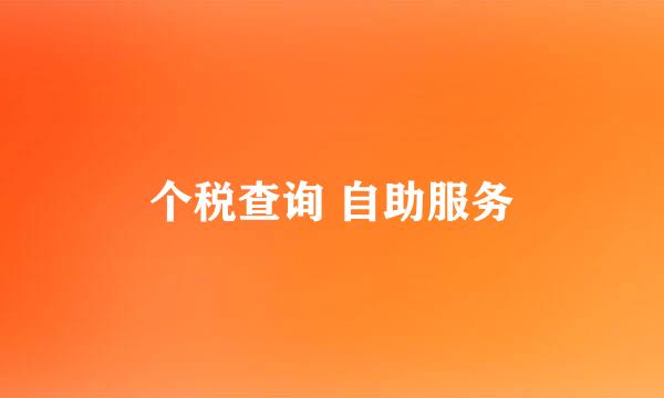 个税查询 自助服务