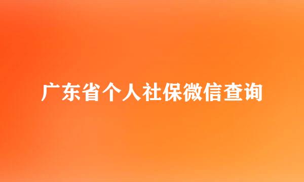 广东省个人社保微信查询