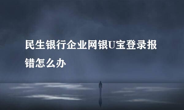 民生银行企业网银U宝登录报错怎么办