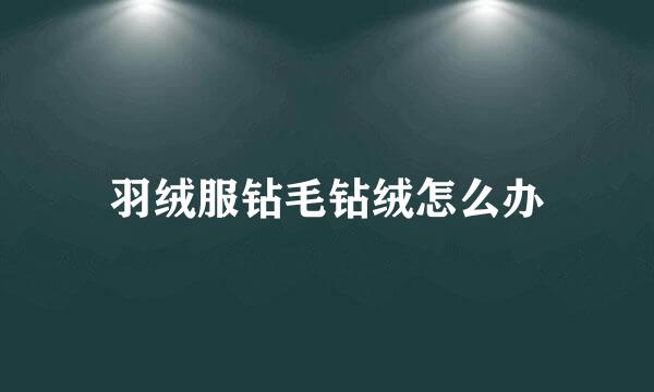 羽绒服钻毛钻绒怎么办
