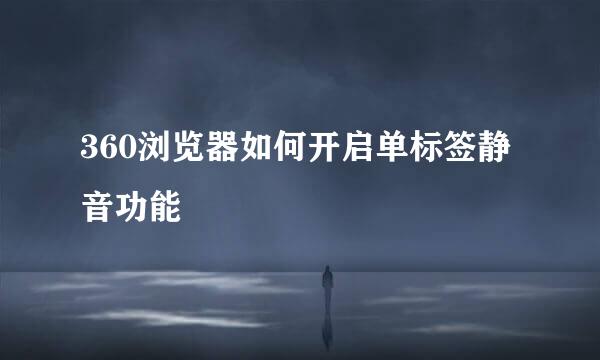 360浏览器如何开启单标签静音功能