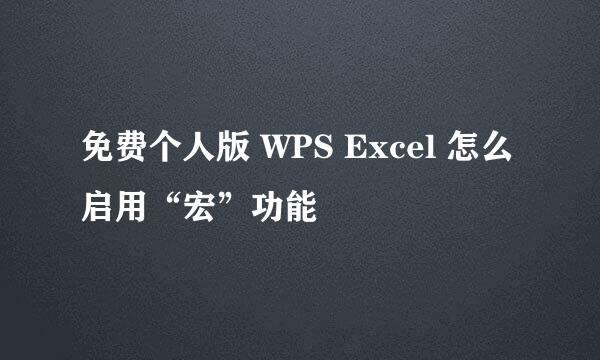 免费个人版 WPS Excel 怎么启用“宏”功能