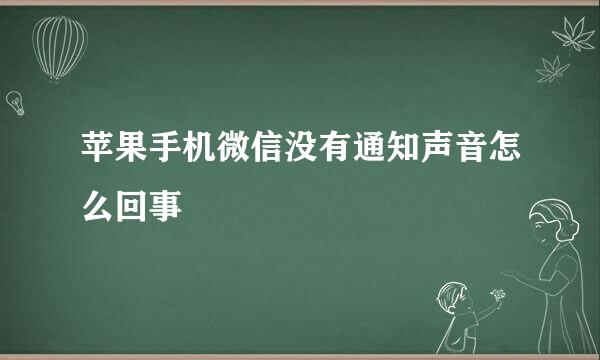 苹果手机微信没有通知声音怎么回事