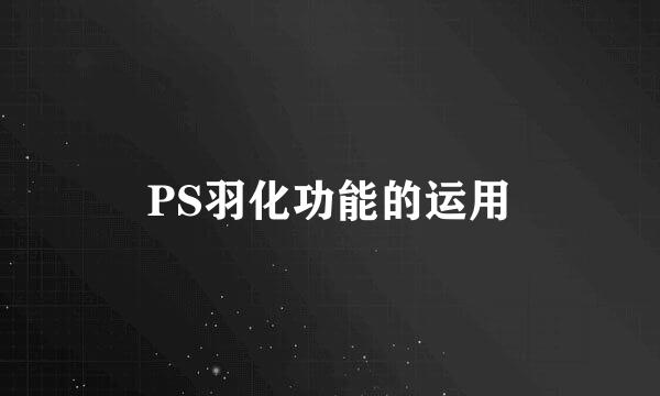 PS羽化功能的运用