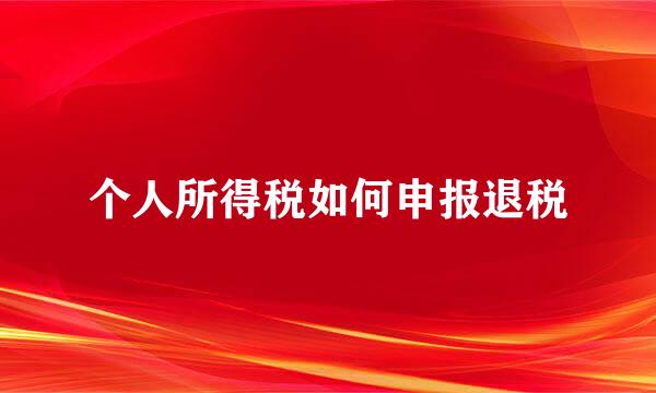 个人所得税如何申报退税