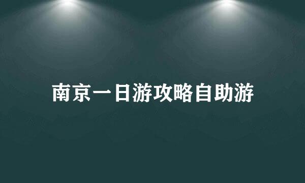 南京一日游攻略自助游