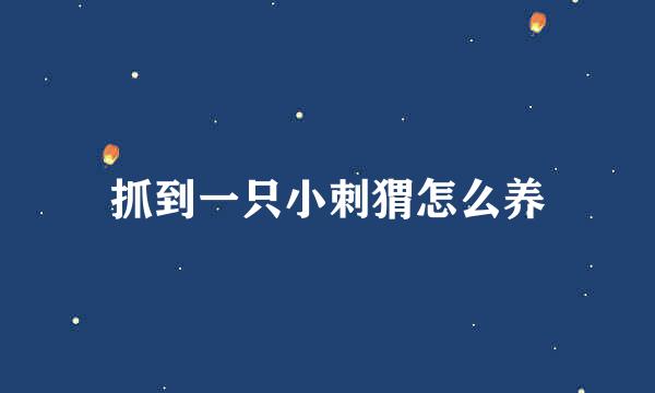 抓到一只小刺猬怎么养
