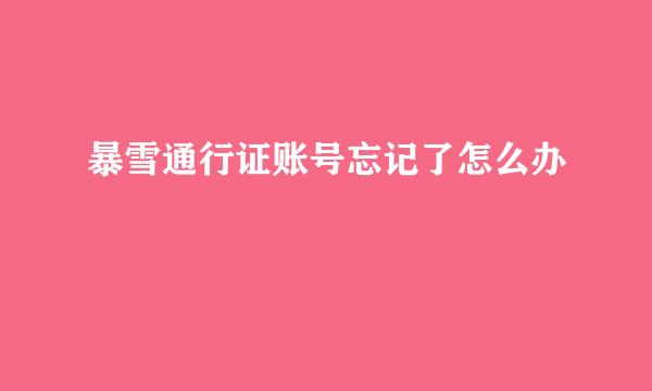暴雪通行证账号忘记了怎么办