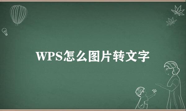 WPS怎么图片转文字