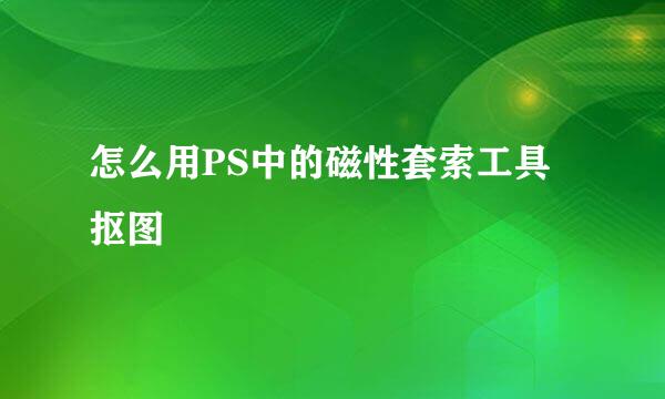 怎么用PS中的磁性套索工具抠图
