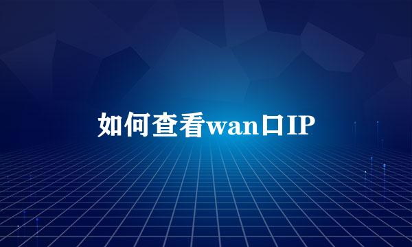 如何查看wan口IP