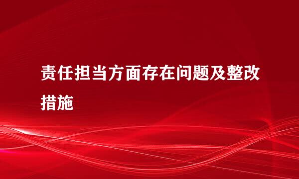 责任担当方面存在问题及整改措施