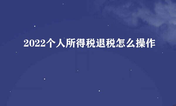 2022个人所得税退税怎么操作