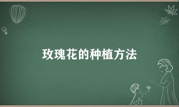 玫瑰花的种植方法