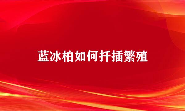 蓝冰柏如何扦插繁殖