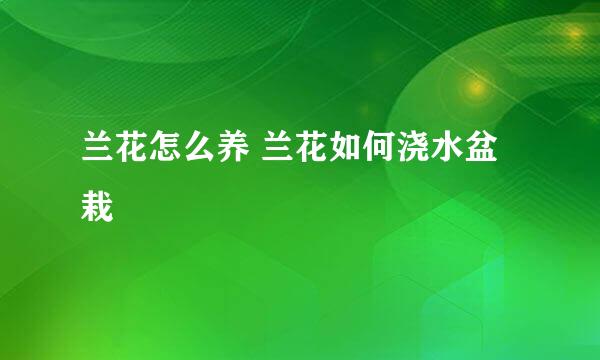 兰花怎么养 兰花如何浇水盆栽