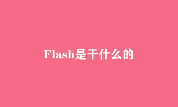 Flash是干什么的