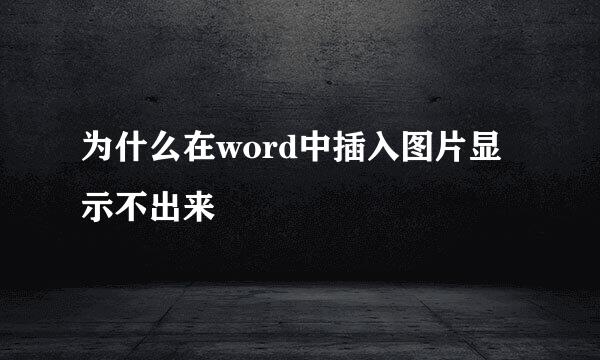 为什么在word中插入图片显示不出来