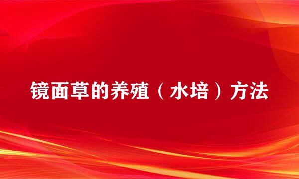 镜面草的养殖（水培）方法