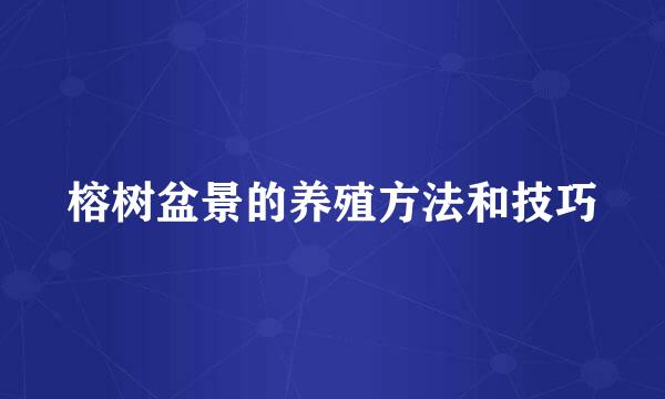 榕树盆景的养殖方法和技巧