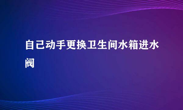 自己动手更换卫生间水箱进水阀