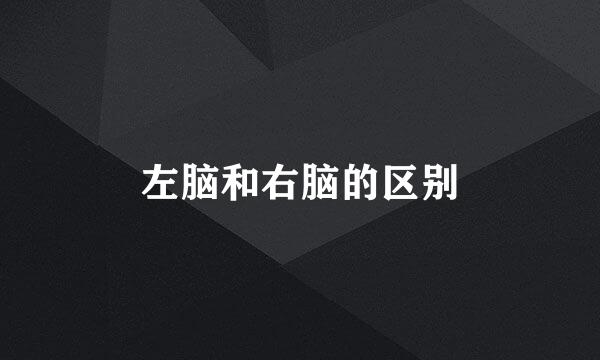 左脑和右脑的区别