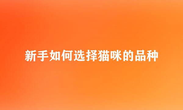 新手如何选择猫咪的品种