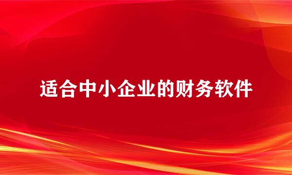 适合中小企业的财务软件