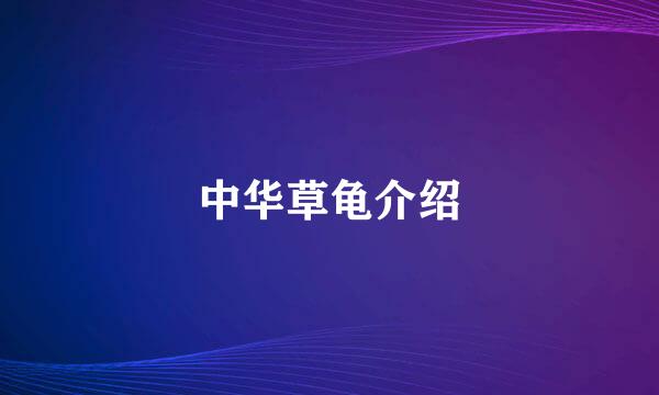 中华草龟介绍
