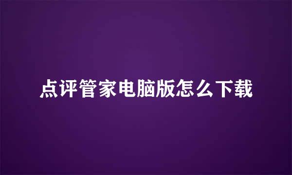 点评管家电脑版怎么下载