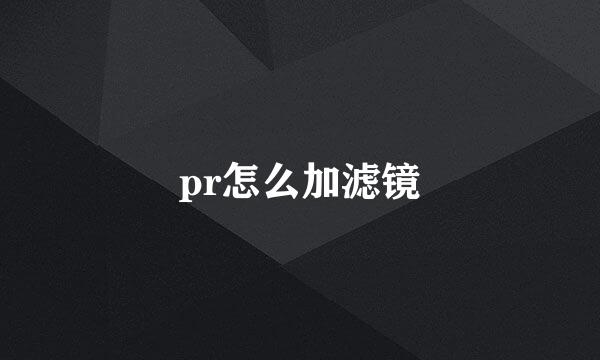 pr怎么加滤镜