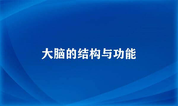 大脑的结构与功能