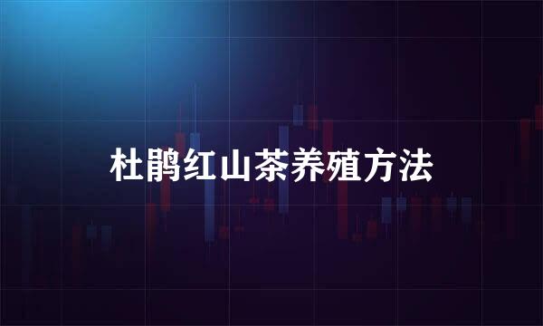杜鹃红山茶养殖方法