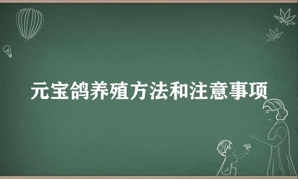 元宝鸽养殖方法和注意事项