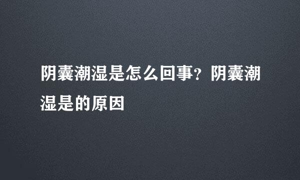 阴囊潮湿是怎么回事？阴囊潮湿是的原因