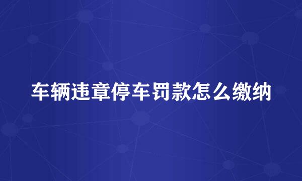 车辆违章停车罚款怎么缴纳