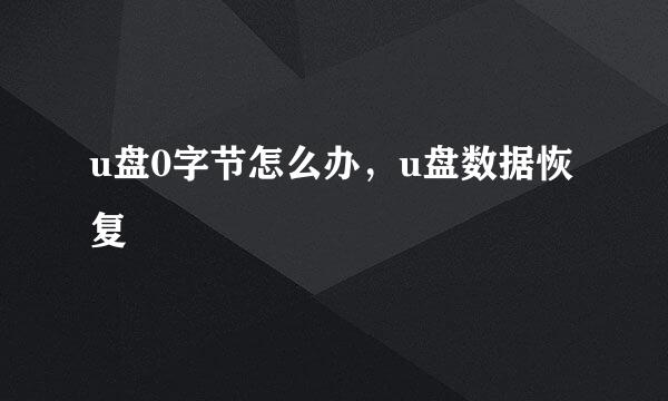 u盘0字节怎么办，u盘数据恢复
